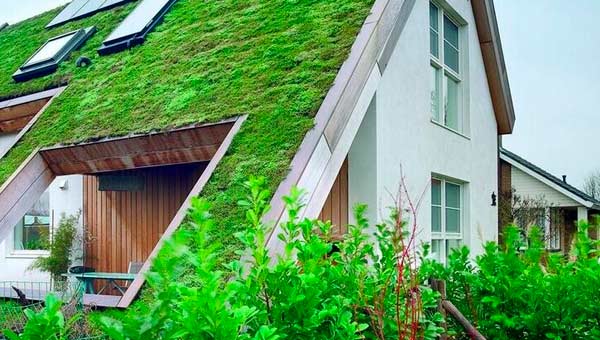 Озеленение крыши: Технология и польза для экологии