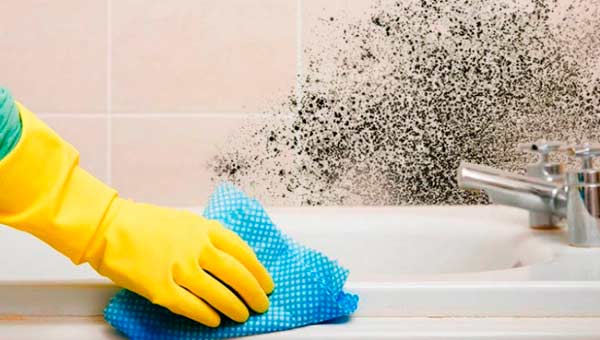 Как избежать образования плесени в ванной комнате