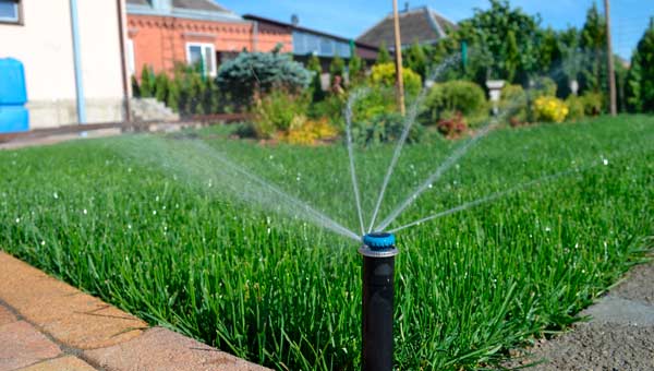 Монтаж системы полива на участке: Автоматизация