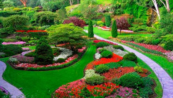 Элементы благоустройства общественных пространств